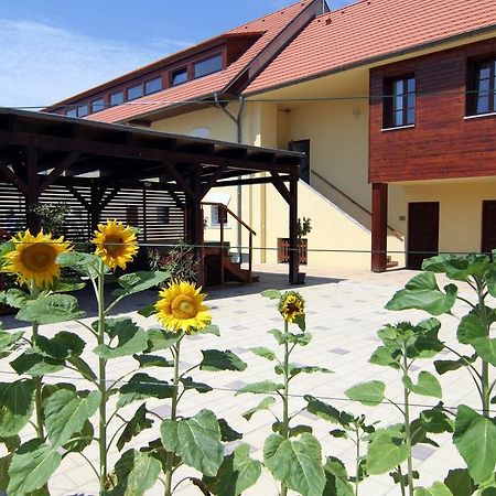 Hotel Pod Sluncem Trebiz Экстерьер фото